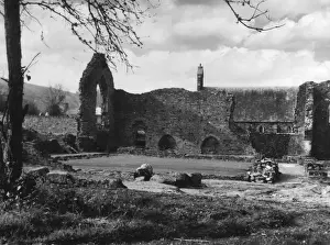 St. Dogmells Abbey