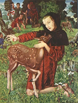 Deer Collection: St. Giles