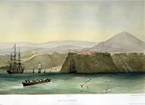 Vaillant Prints: St Helena