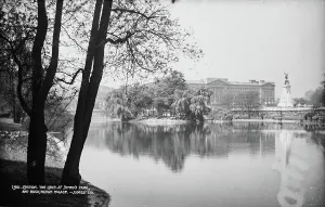 Showcases Prints: St. James's Park and Buckingham Palace