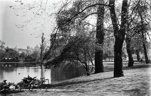 Leisurely Prints: St. James's Park, London