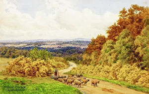 Crowborough Prints: St John's Common, Crowborough, East Sussex