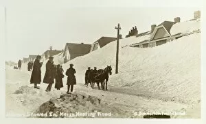 Drift Collection: St. Johns - Newfoundland - Houses Snowed in