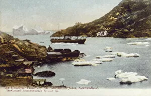 Newfoundland Gallery: St. Johns - Newfoundland - Iceberg off the Narrows