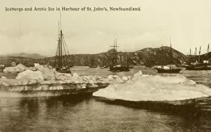 St. Johns - Newfoundland - Icebergs and Arctic Ice Floes