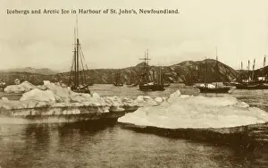Narrows Prints: St. Johns - Newfoundland - Icebergs and Arctic Ice Floes