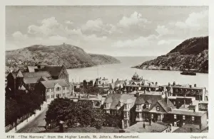 Levels Prints: St. Johns - Newfoundland - The Narrows