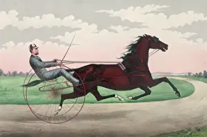 Trotter Prints: St. Julien: by Volunteer, dam by Sayres Harry Clay
