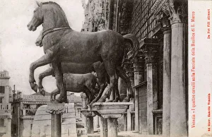 Mark Collection: St. Marks Square, Venice, Italy - The Horses of St. Mark