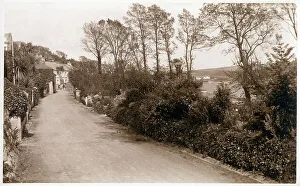 Mawes Prints: St Mawes, Cornwall - Country road along the shoreline
