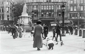 Signage Prints: St. Paul's Pigeons