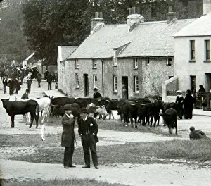 Houses Gallery: St Thomas Green cattle market, Haverfordwest, South Wales