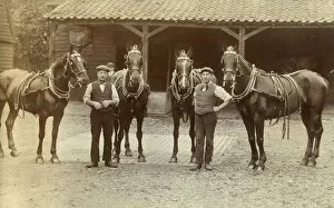 Images Dated 30th April 2020: Two stable grooms with four beautiful carriage horses