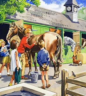 Images Dated 18th August 2006: At the stables