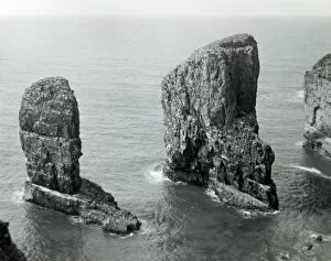 Images Dated 17th May 2021: Stack rocks and Green Bridge of Wales, Pembrokeshire
