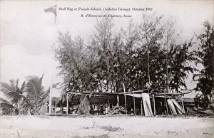 Mangrove Collection: Staff Flag flying - Picault Island, Aldabra Group