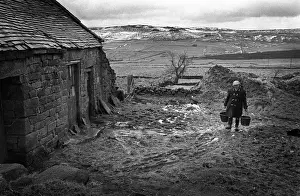 Buckets Prints: Staffordshire farmer in farmyard