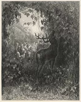 The Stag and the Vine