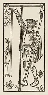 Stake Prints: Staking Plants, C15