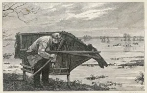 Knowing Collection: Stalking Horse