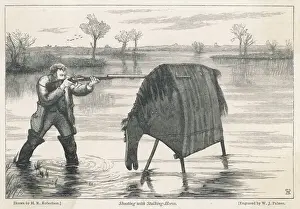 Stalking Horse Used