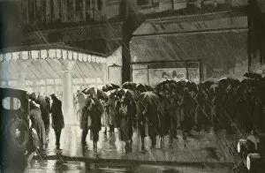 Companion Gallery: Standing in the rain