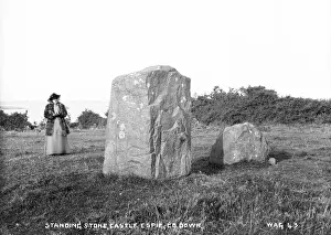 Scale Prints: Standing Stone, Castle Espie, Co Down