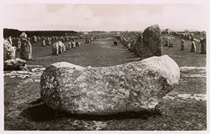 Neolithic Gallery: Standing stones at Carnac, Brittany, France
