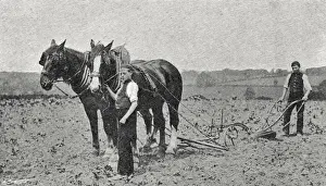 Standon Boys Farm Home, Eccleshall, Staffordshire - Ploughi