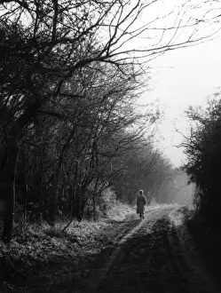 Stane Street