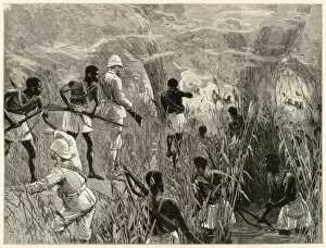 Poison Gallery: Stanley in Africa: the vanguard attacked
