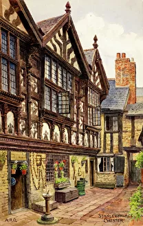 Leaded Collection: Stanley Palace, Chester, Cheshire