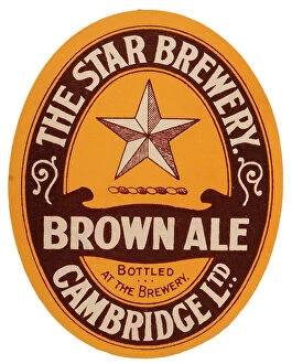 Graphic Collection: Star Brewery Brown Ale