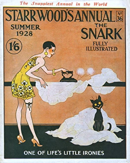 Images Dated 19th January 2017: Starr Woods Annual The Snark - ironing