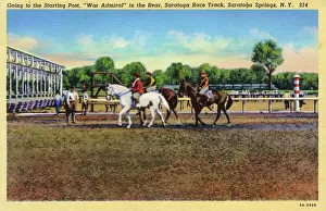 Horseracing Prints: Starting Post, Saratoga Race Course, NY State, USA