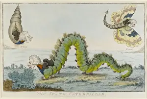 Younger Prints: The State Caterpillar