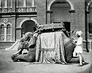 State elephant, Baroda (Vadodara), Gujarat, India