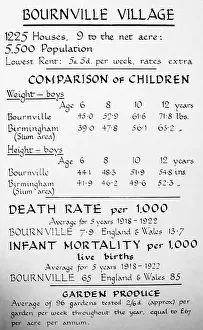 Statistics Prints: Statistics, Bournville village