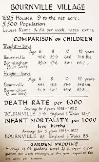 Infant Collection: Statistics relating to Bournville Village in the 1920s