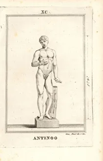 Paolo Gallery: Statue of the Bithynian Greek youth Antinous
