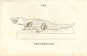 Statue of a crocodile