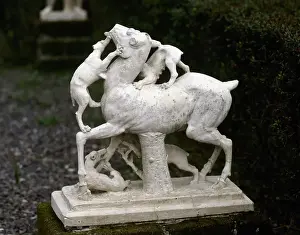 Chased Prints: Statue of a deer chased by a pack of dogs Herculaneum