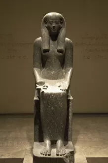 Images Dated 25th November 2003: Statue of Iwnit. Egypt