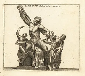 Statue of Laocoon and his sons attacked by sea serpents