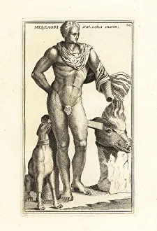 4th Century Bc Prints: Statue of Meleager, mythical hero of Aetolia