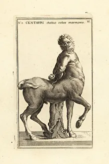 Statue of an old centaur, Furietti Centaur