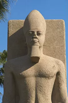 Memphis Collection: Statue of Pharaoh Ramses II. Detail. Memphis. Egypt