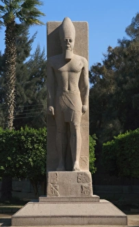 Images Dated 18th November 2003: Statue of Pharaoh Ramses II. Memphis. Egypt