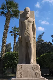 Memphis Collection: Statue of Pharaoh Ramses II. Memphis. Egypt