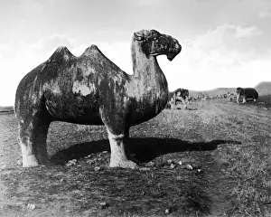 Hump Prints: Statue on the road to Ming Tombs, Nanjing, China